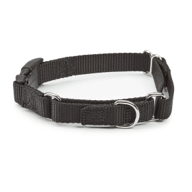 GG Martingale Adjustable Quick Release Dog Collar - 10-16 Inch, Black
