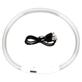 Usb Rechargeable Glow-In-The-Dark Pet Collar With Three Flashing Modes (Electrical Outlet: Usb, Color: C)