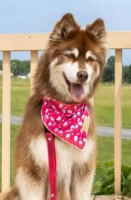 Active Dog Bandana in Vivid Red Mountain Syrah (Pack Of: 1, size: Xl - 35In X 17In)