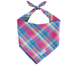 Rainbow Plaid Cotton Dog Bandana (Size-Pack Of: Small-1, Color: Colorful Plaid)