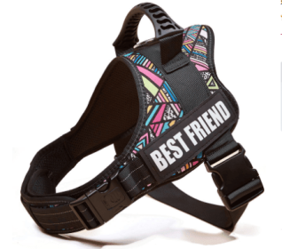 Explosafe Pet Leash: The Ultimate Safety Harness For Your Furry Friend (Color: Mosaic, size: XXL)