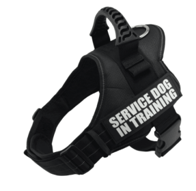 Explosafe Pet Leash: The Ultimate Safety Harness For Your Furry Friend (Color: Black, size: Xl)