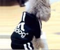 Cozy Pet Paws Sweater