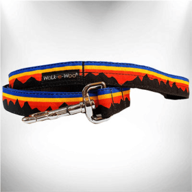 Mountain Dog Performance Collars for Outdoor Adventures (Size-Pack Of: Regular Lead 1" Width- 5' Length-1, Color: Blue Mountain)