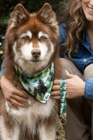 Evergreen Explorer Dog Bandana & Keychain Set (Pack Of: 1, size: M/L - 27In X 13In)