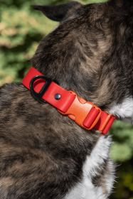 Scarlet Peaks Autumn Waterproof Dog Collar (Pack Of: 1, size: 17 - 20 Inch)