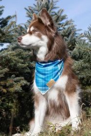 Blue Spruce Plaid Lightweight Dog Bandana for Active Pets (Pack Of: 1, size: Xl - 35In X 17In)