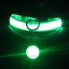 Luminous Fashion Dog Collar: The Ultimate Pet Accessory For Style And Safety!