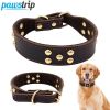 Petpals Comfortfit Dog Collar