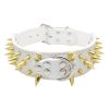 Ultimate Safety Shield Pet Collar